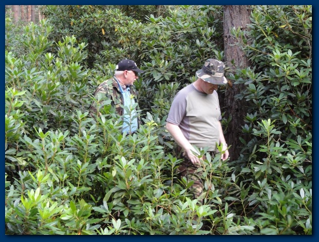 600x449 pixels (199K)